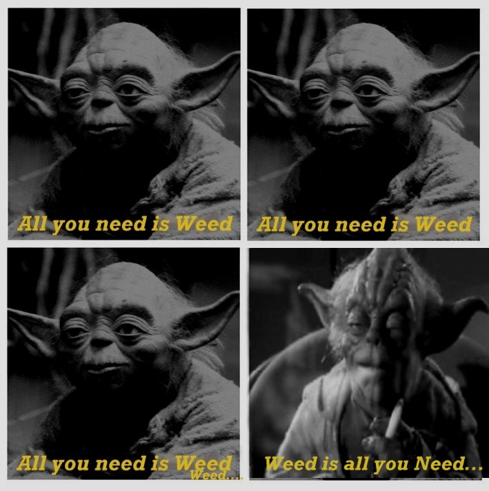 WD-40.jpg